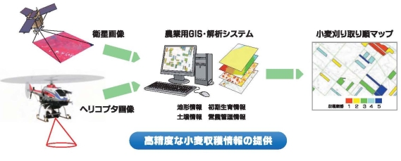 高精度な小麦収穫情報の提供